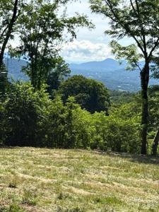 #38 Sleepy Hollow Drive