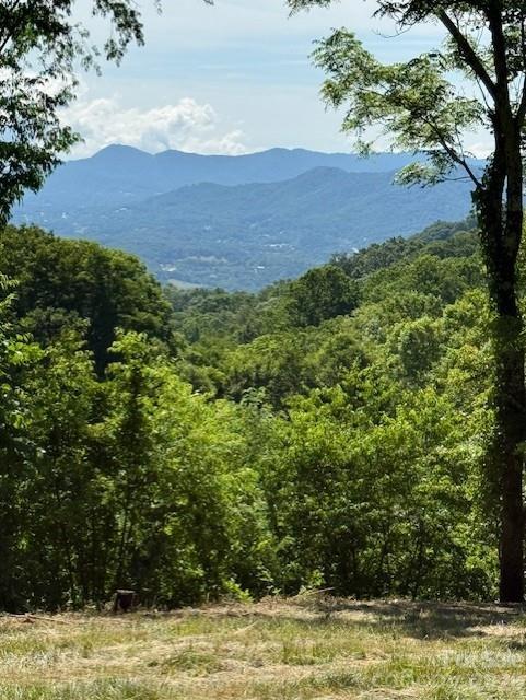 Image 3 Image 3