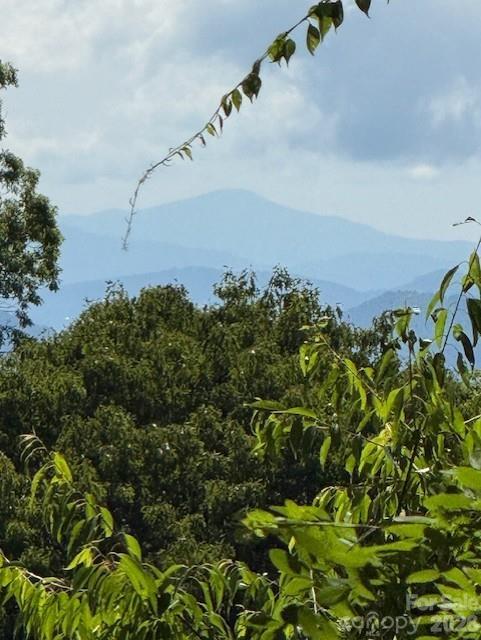 Image 4 Image 4