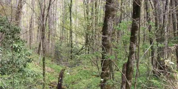 0000 Big Spring Trail