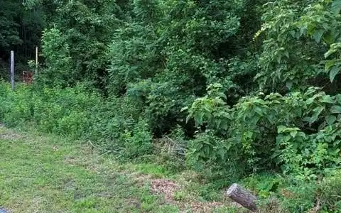 97 DEVIN RIDGE Lane