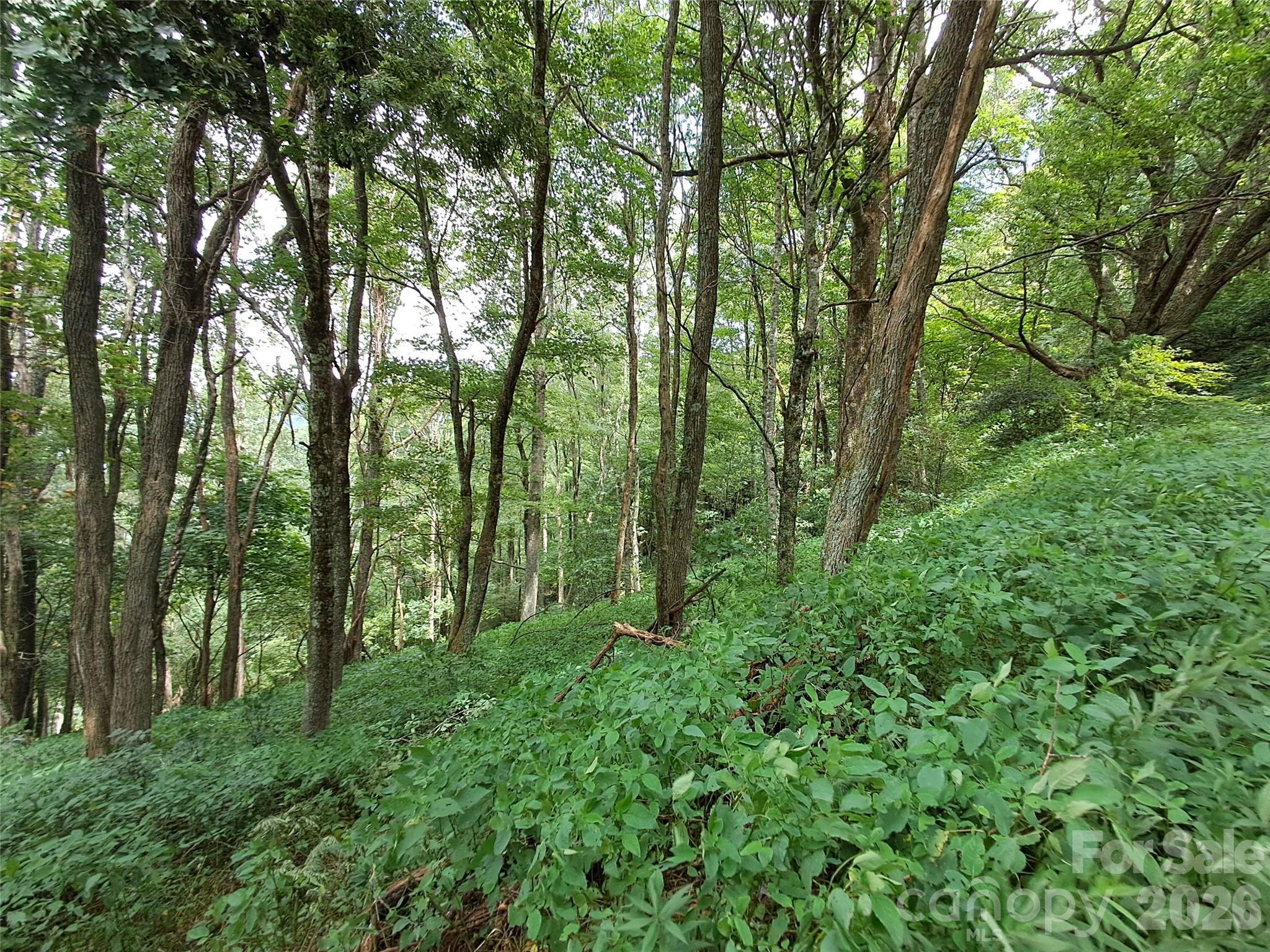 Image 2 Image 2