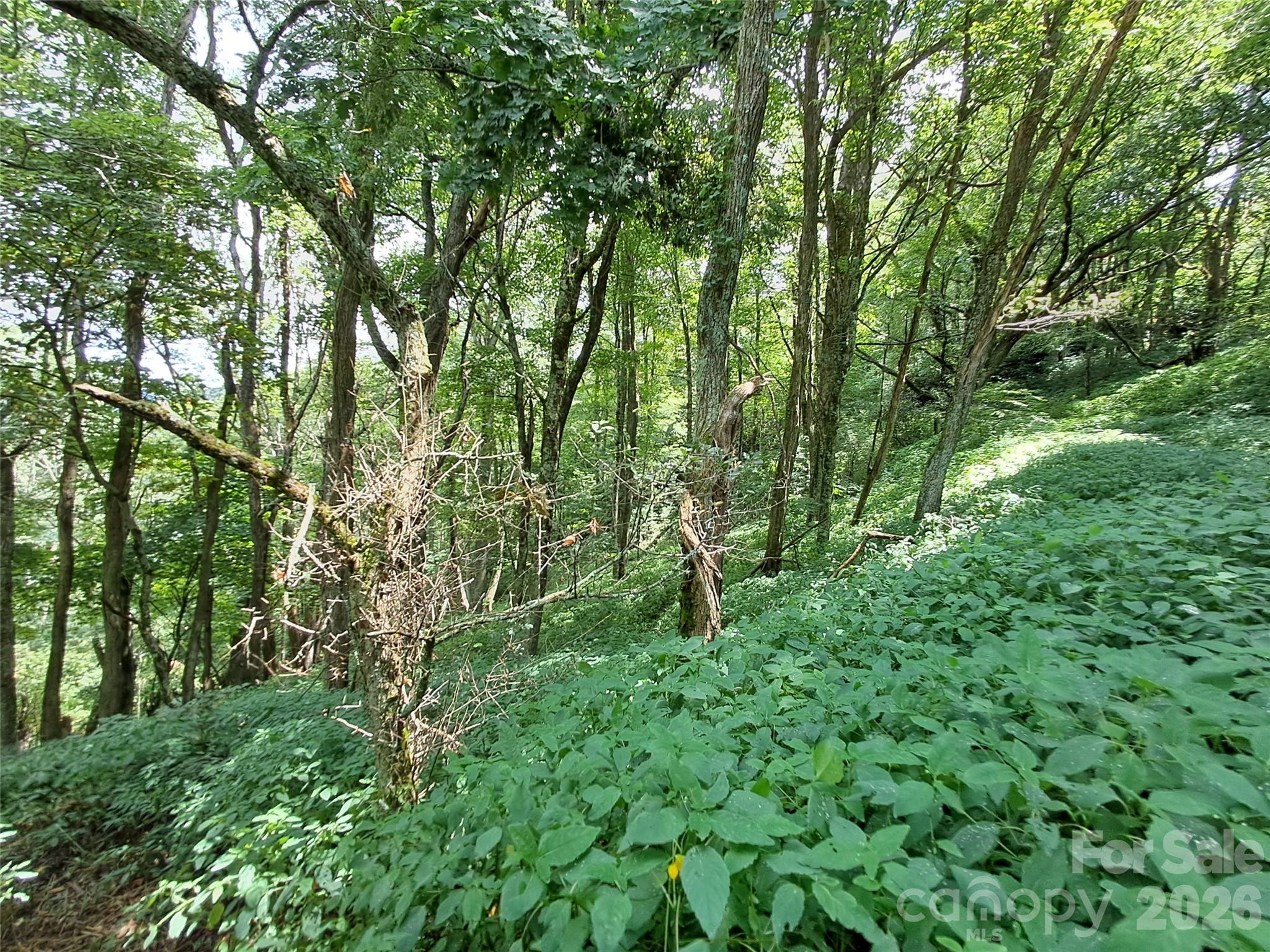 Image 3 Image 3