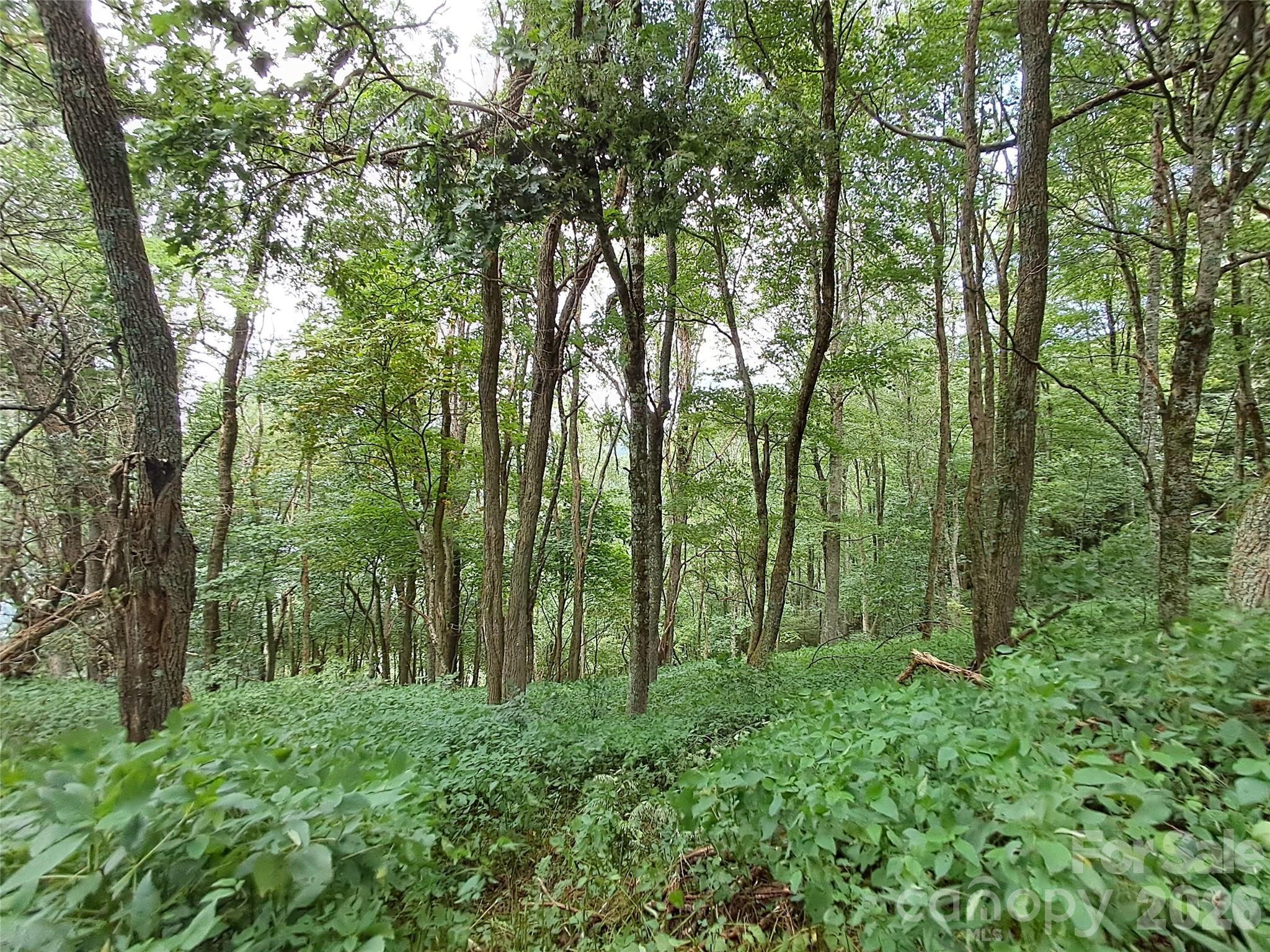 Image 4 Image 4
