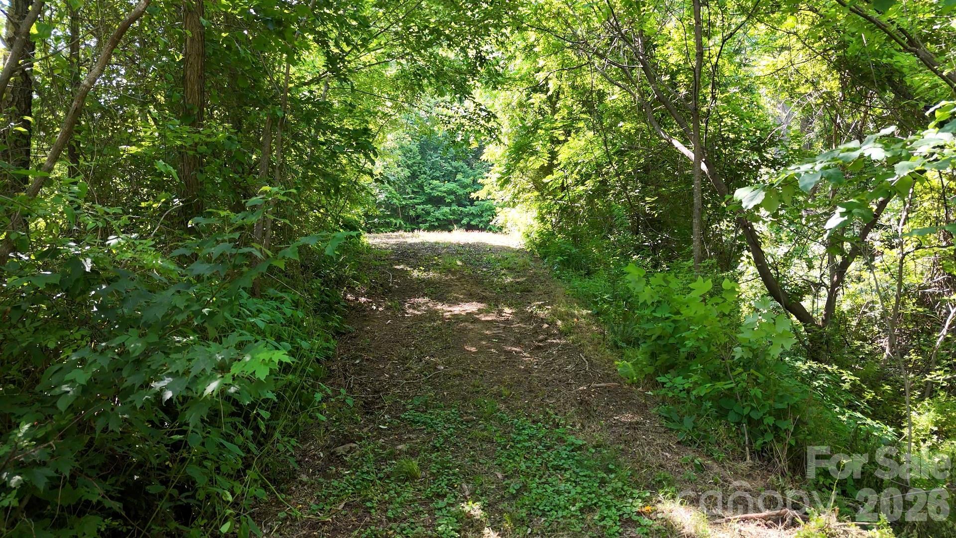 Image 4 Image 4