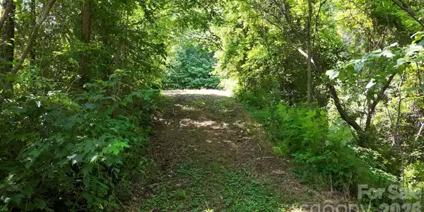 Image 4 Image 4