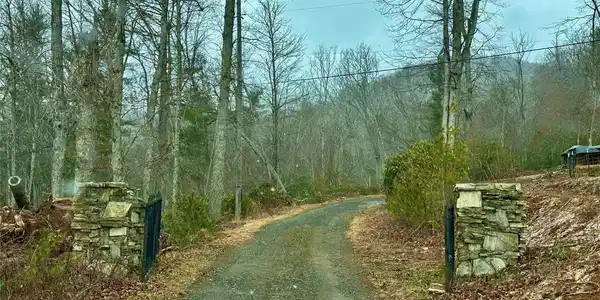 Image 4 Image 4