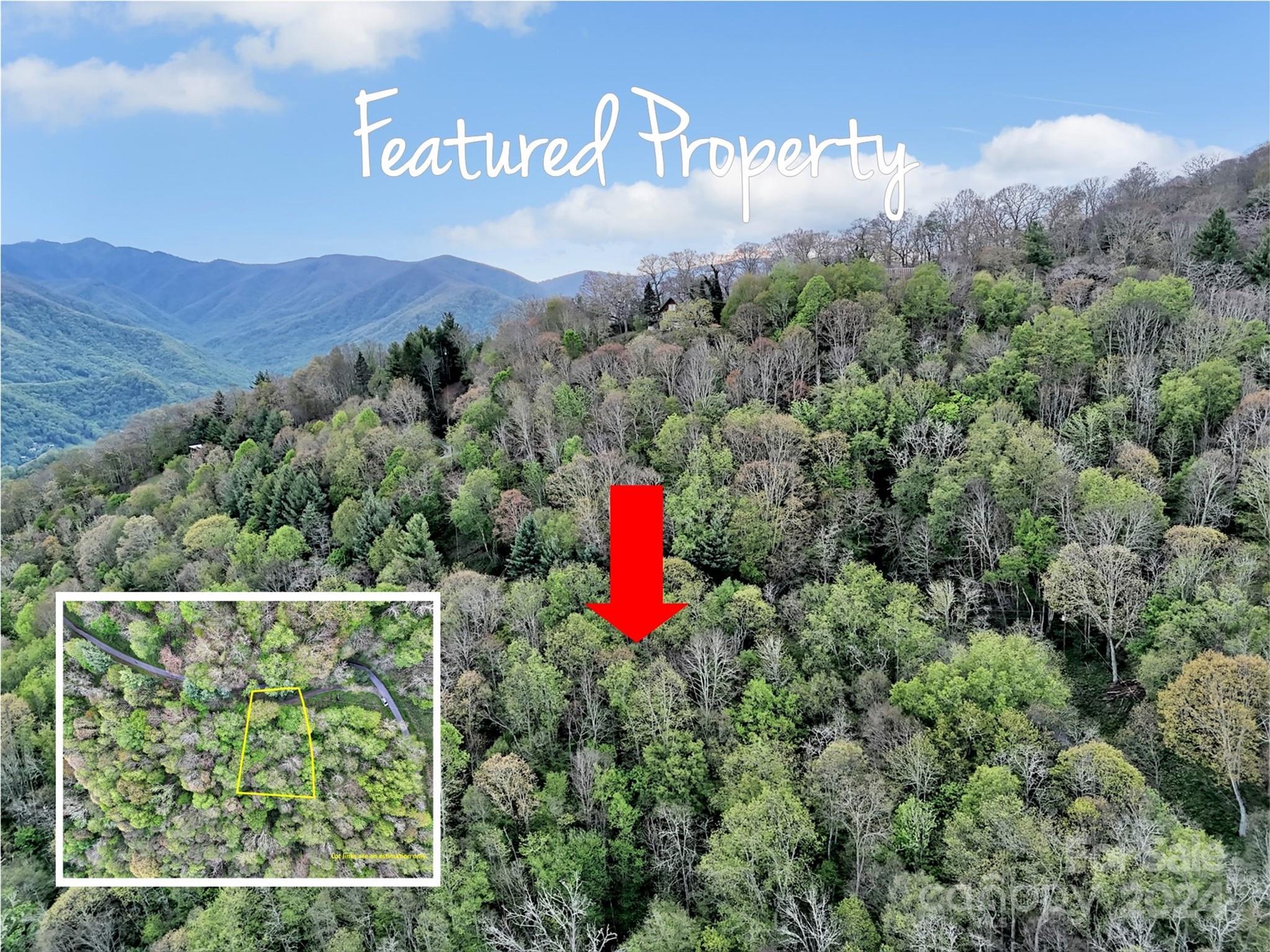 Image 1 Image 1
