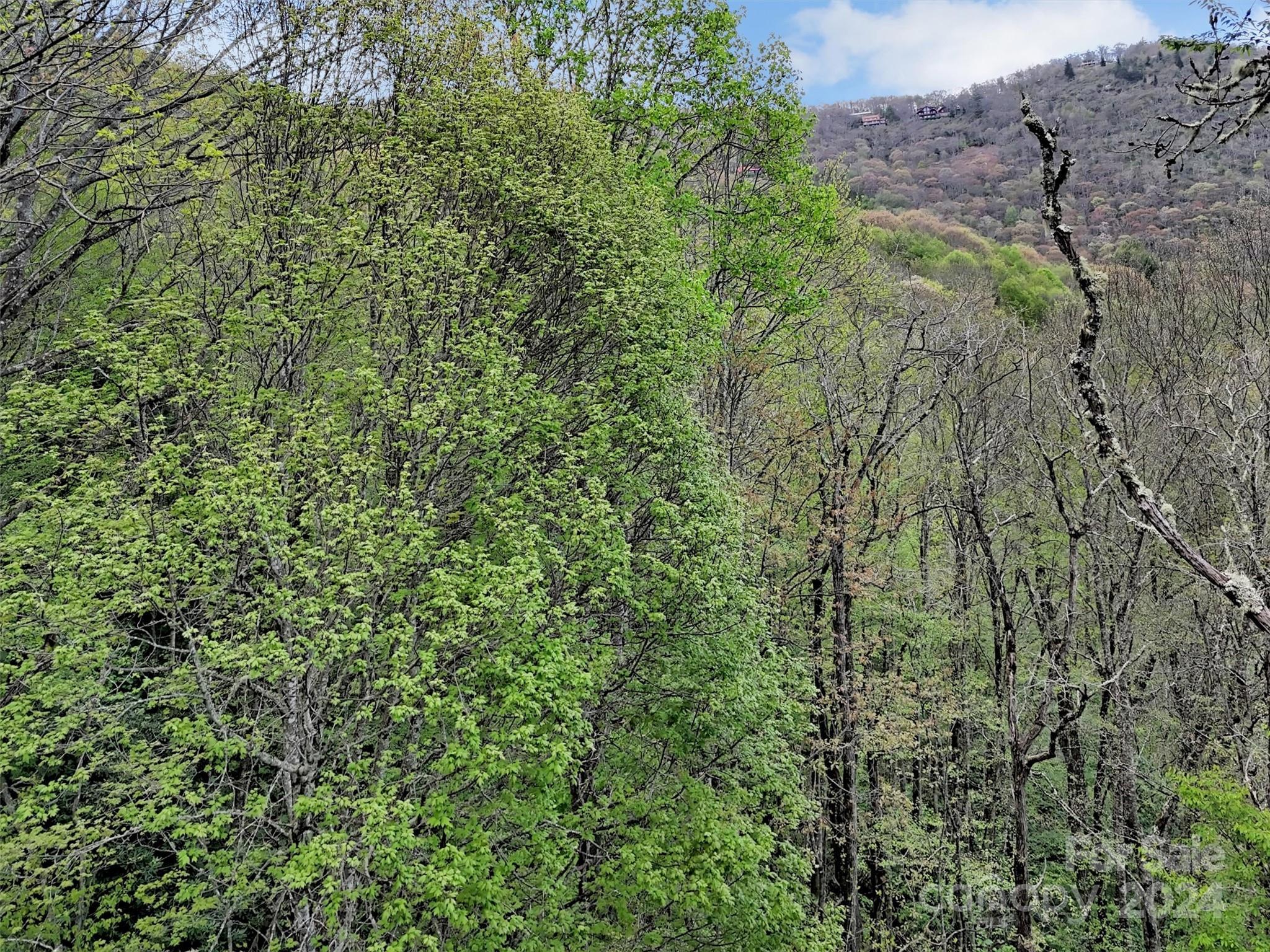 Image 4 Image 4