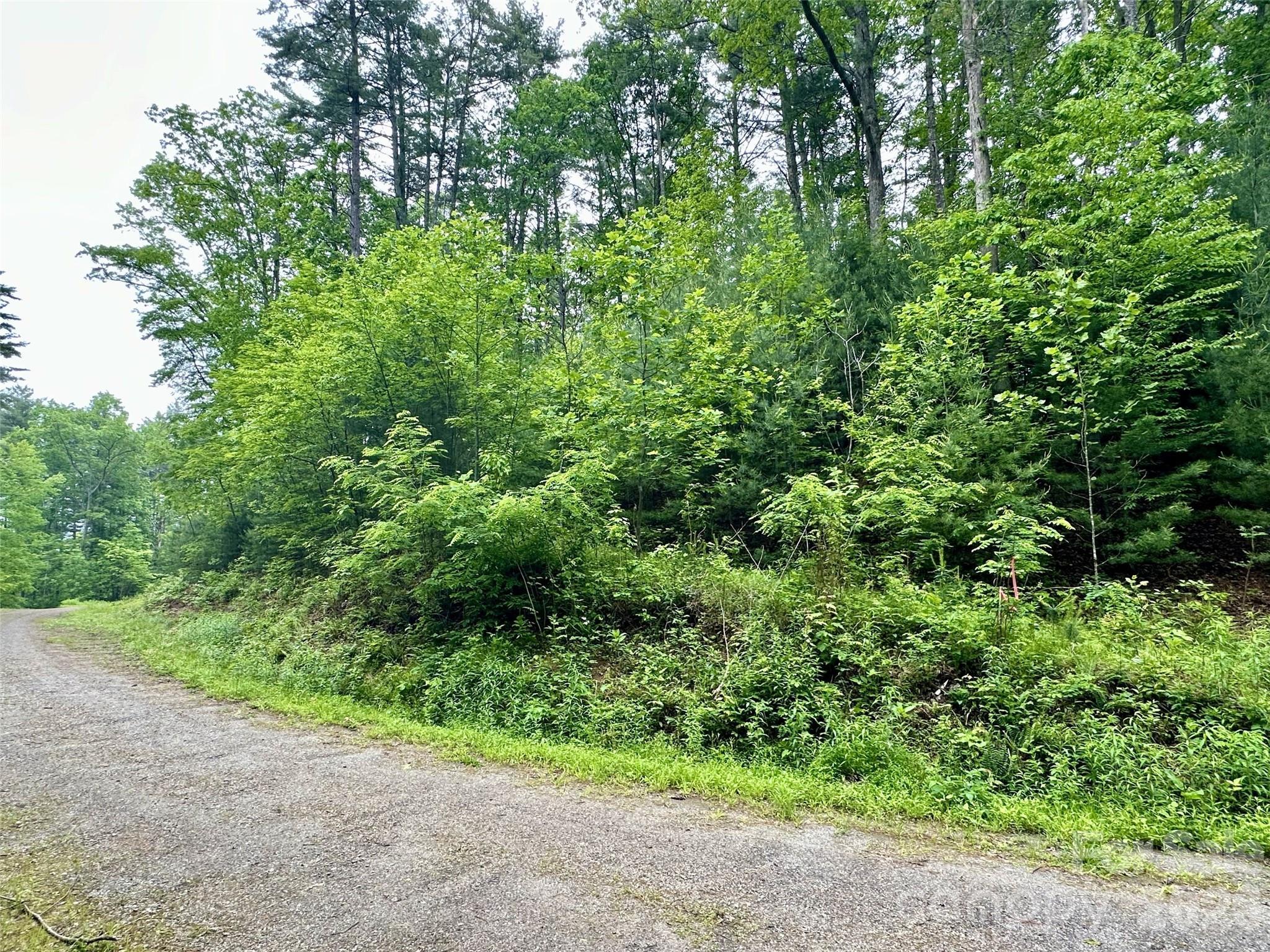 Image 3 Image 3