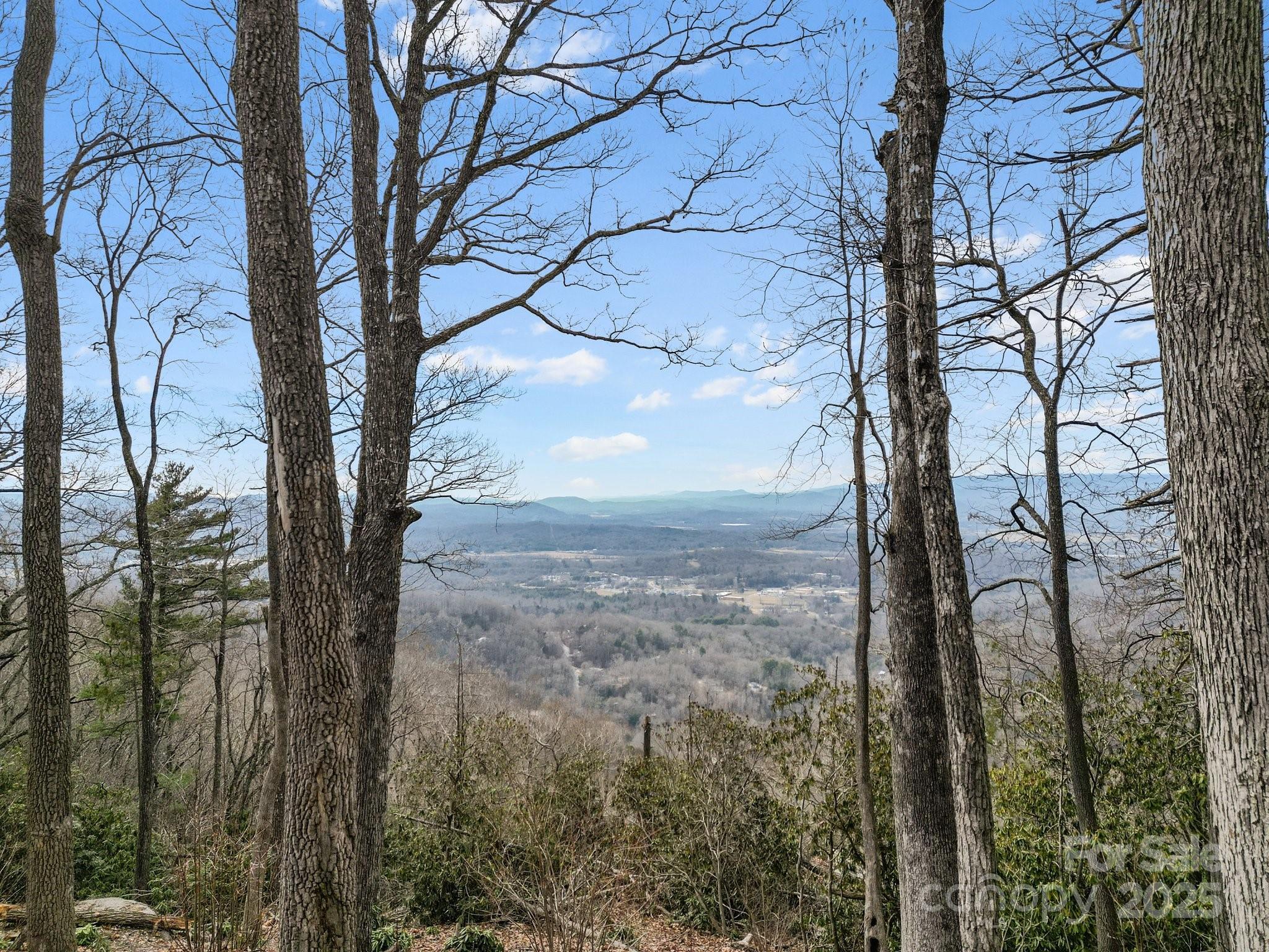 Image 4 Image 4