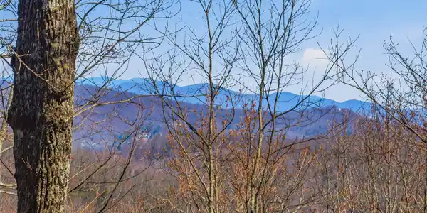 TBD Panther Mountain Road
