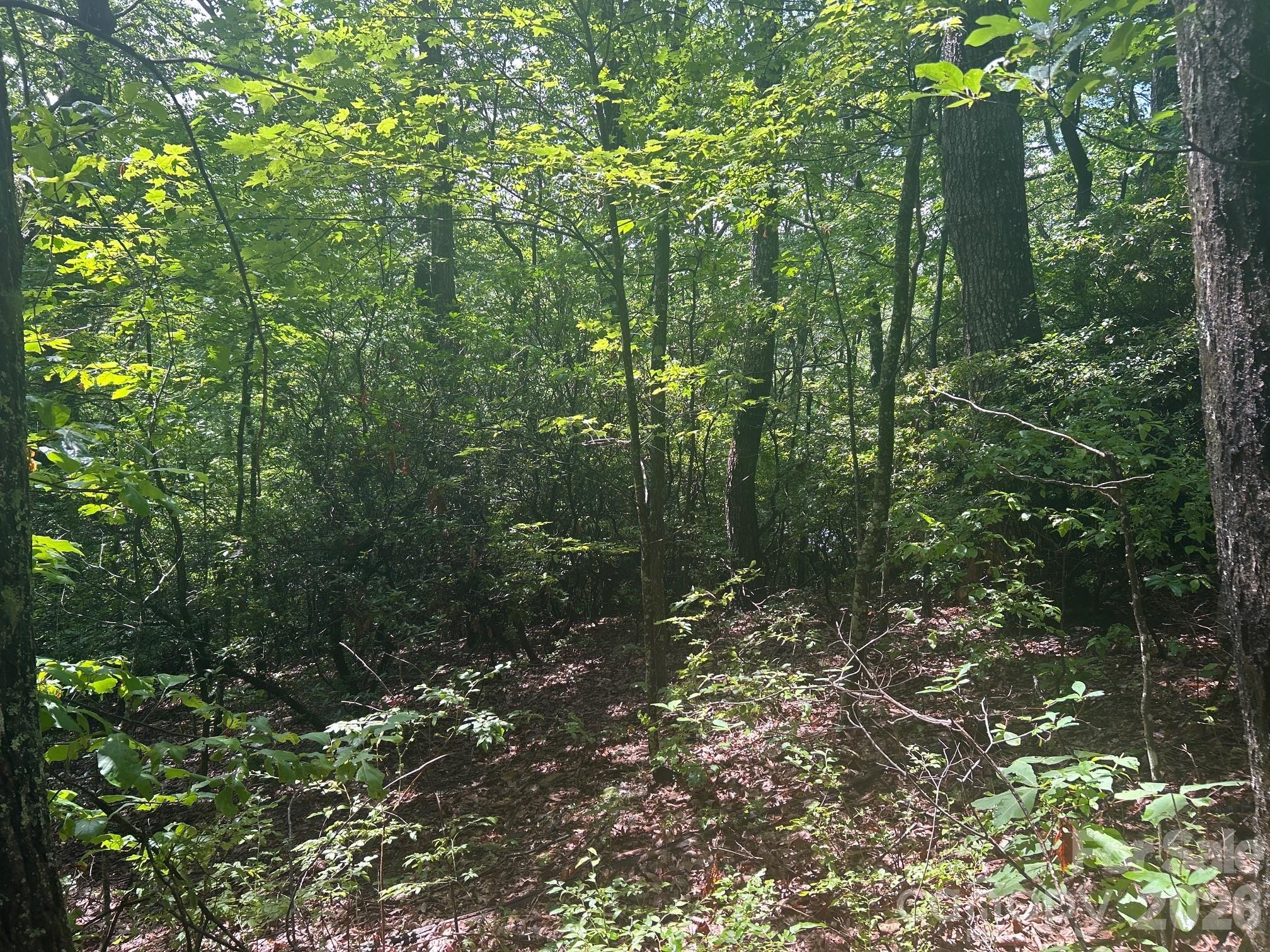 Image 4 Image 4