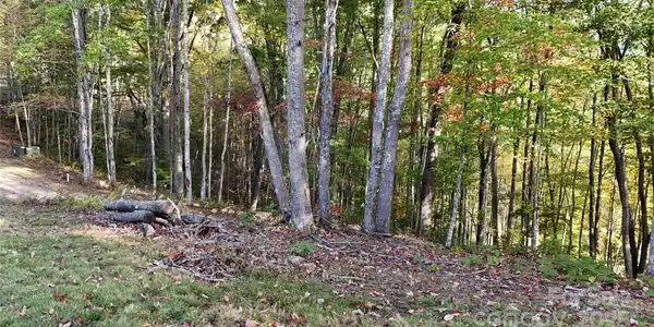 Image 3 Image 3