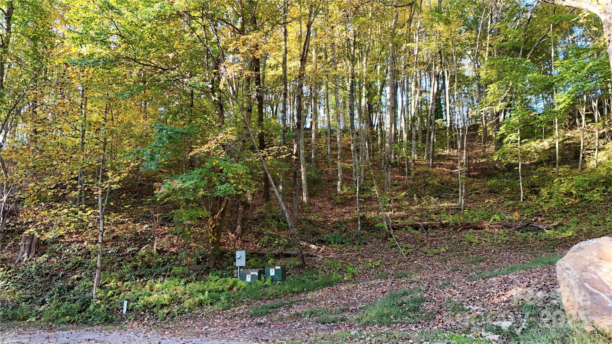 Image 4 Image 4