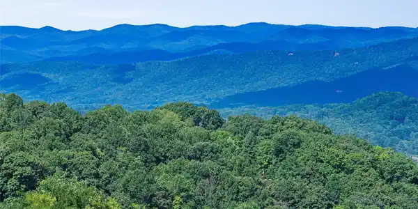 Image 4 Image 4