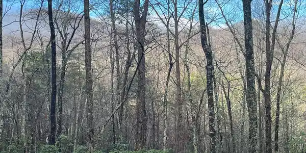 Image 4 Image 4