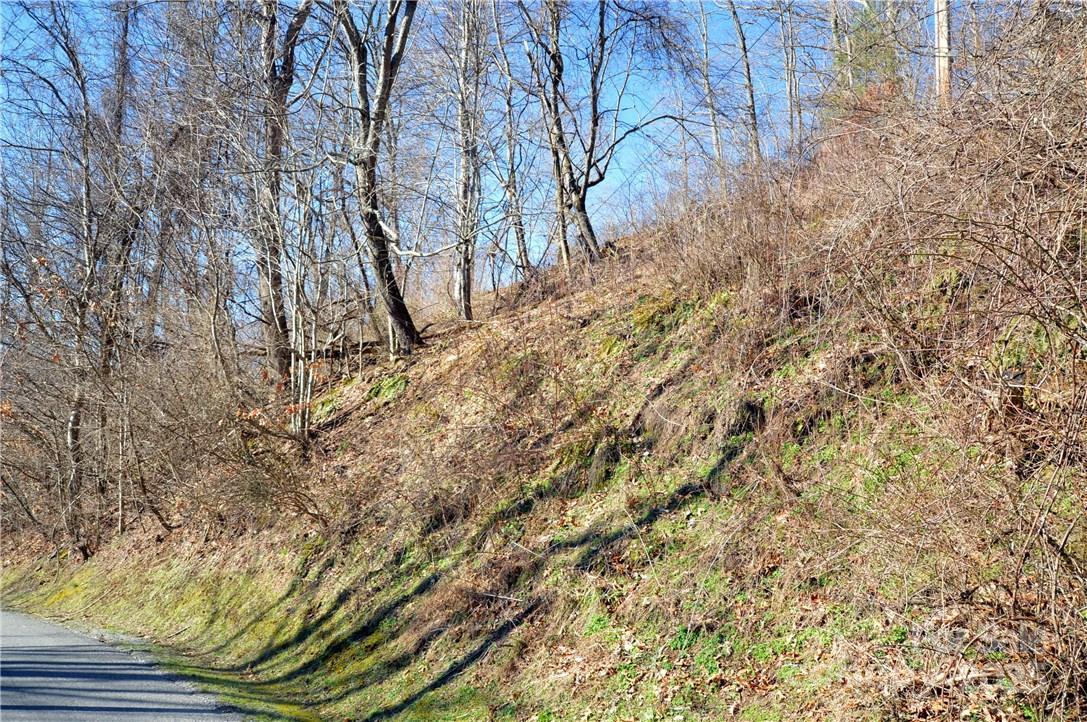Image 1 Image 1