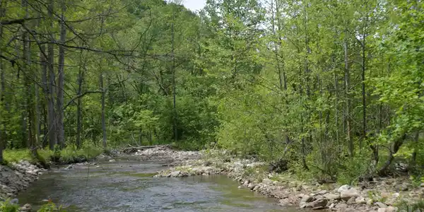 8200 Caney Fork Road