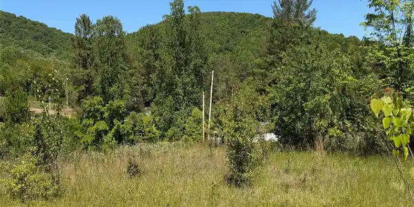 99999 S Morgan Branch Road