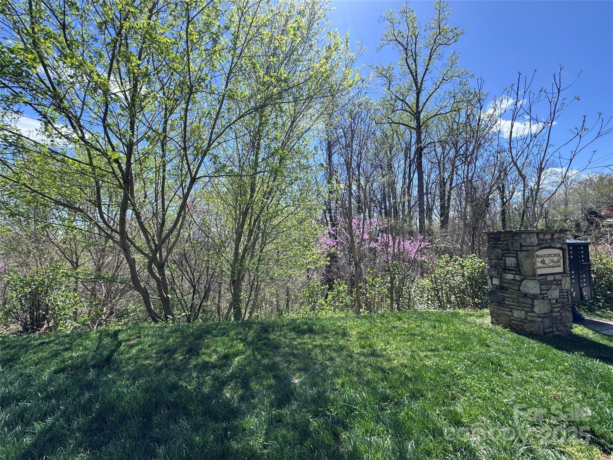 Image 4 Image 4