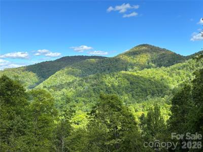 (West Lot) Meadow Fork Road