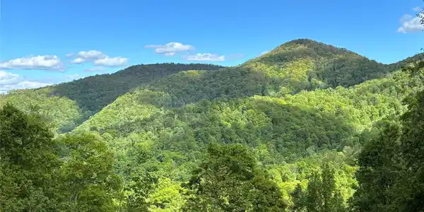 (West Lot) Meadow Fork Road