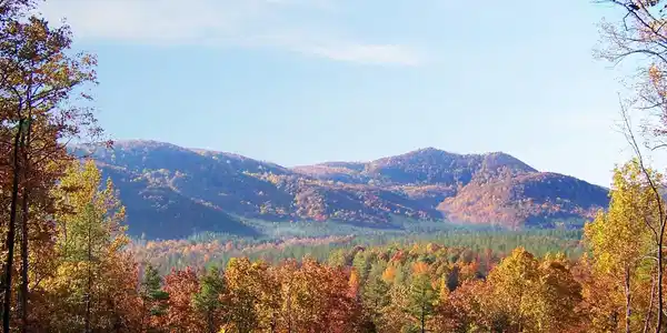 V/L Scenic Vista Drive