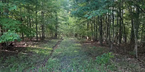 Image 3 Image 3