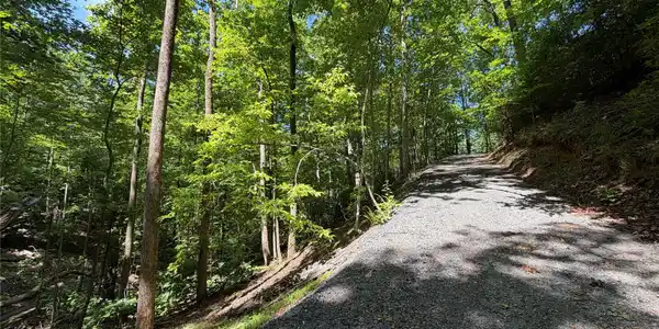 Image 4 Image 4