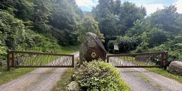 Image 4 Image 4