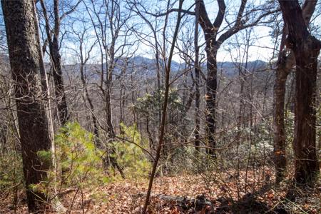 Lot# 502 Fire Crest Lane