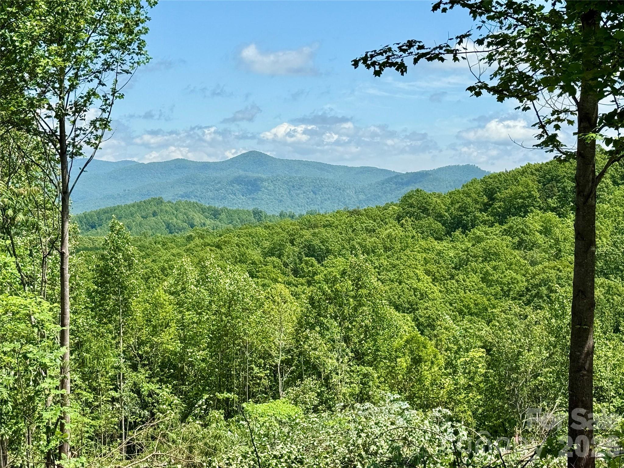 Image 3 Image 3
