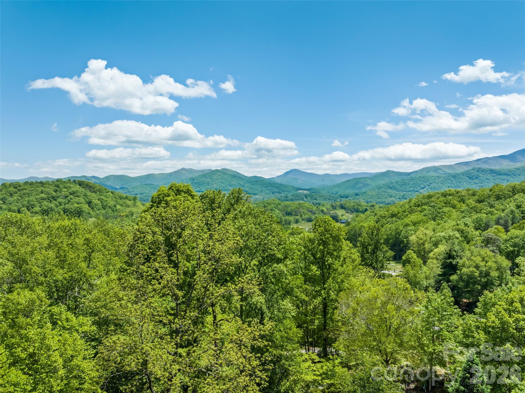 Image 3 Image 3