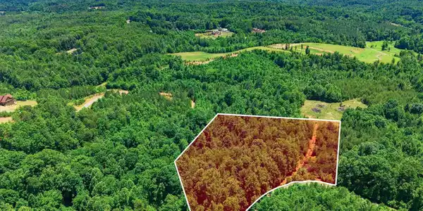 Image 2 Image 2