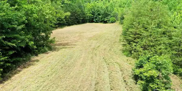Image 3 Image 3