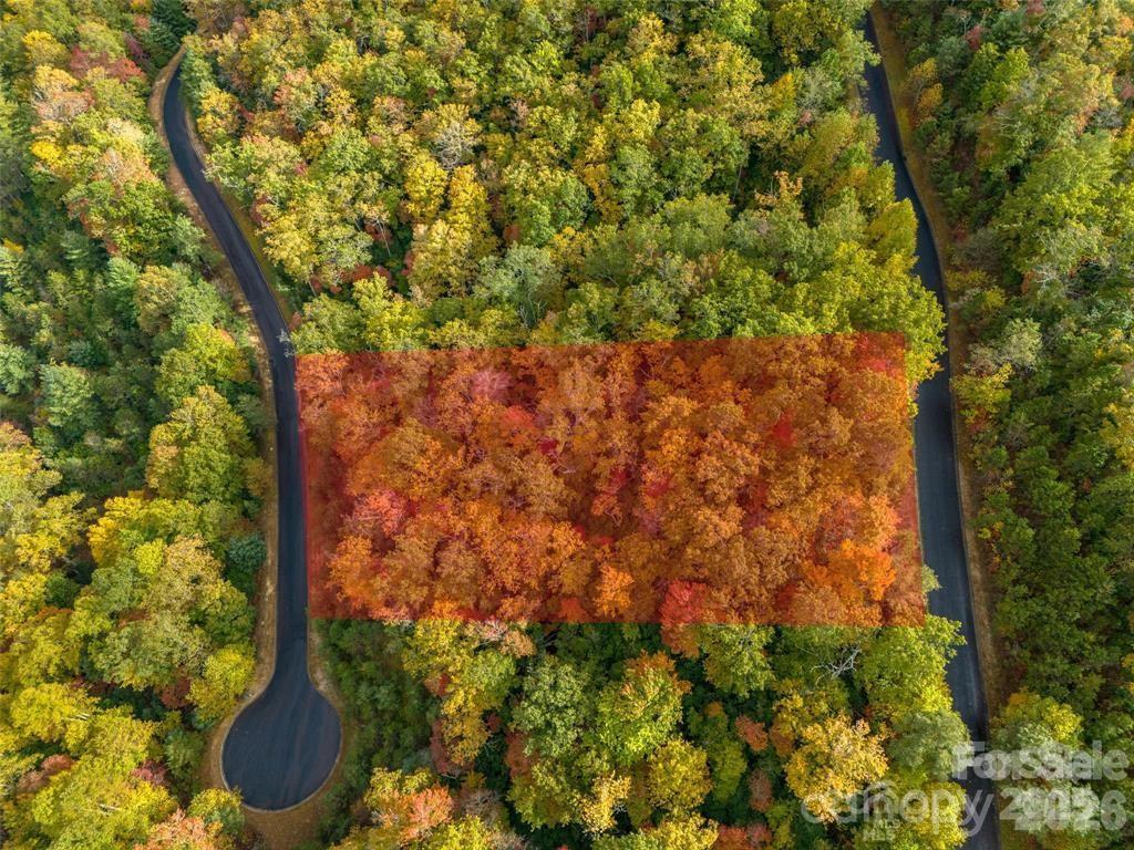 Image 2 Image 2