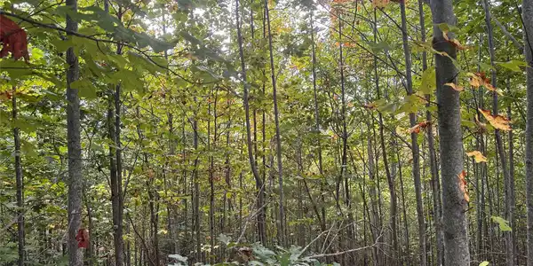 Image 4 Image 4