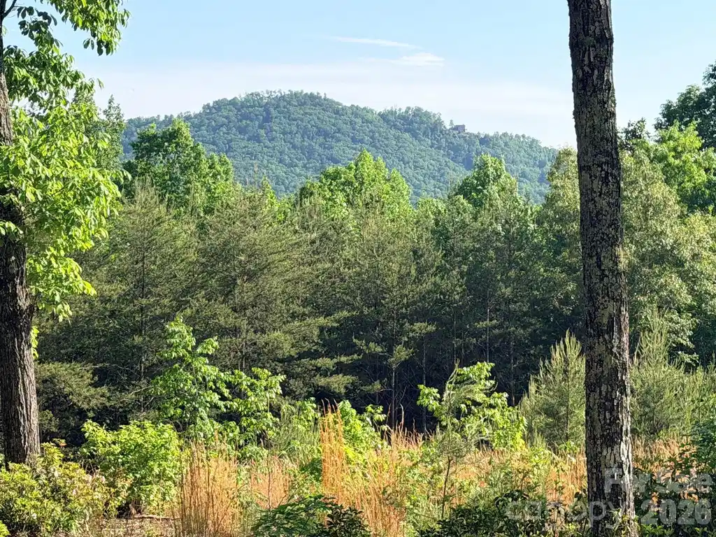Image 1 Image 1