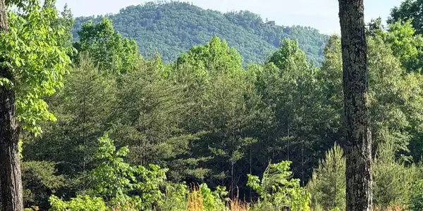 Lot 11 Brookside Parkway