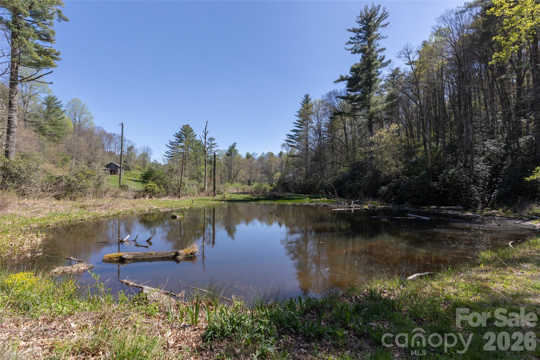 Image 1 Image 1