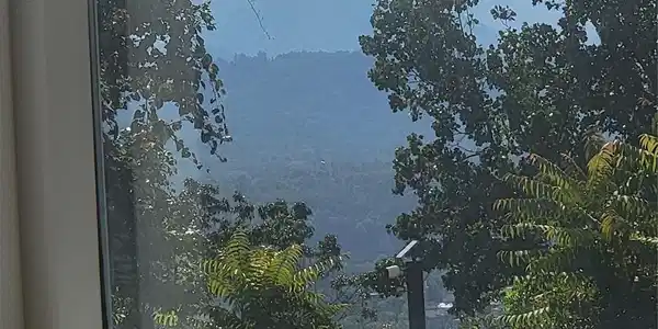 Image 3 Image 3