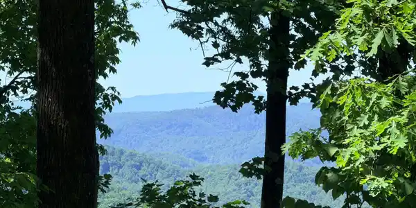 Lot 10 Timbercliff Trail