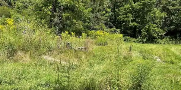 Image 4 Image 4