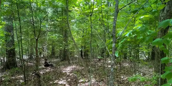 Image 3 Image 3