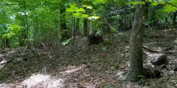 Image 4 Image 4