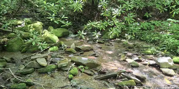 0 Dry Creek Road