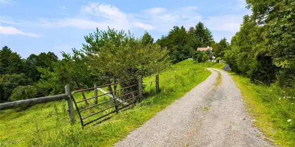 Image 4 Image 4