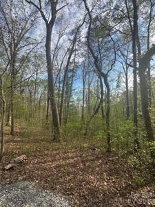 99999 Buffalo Trail