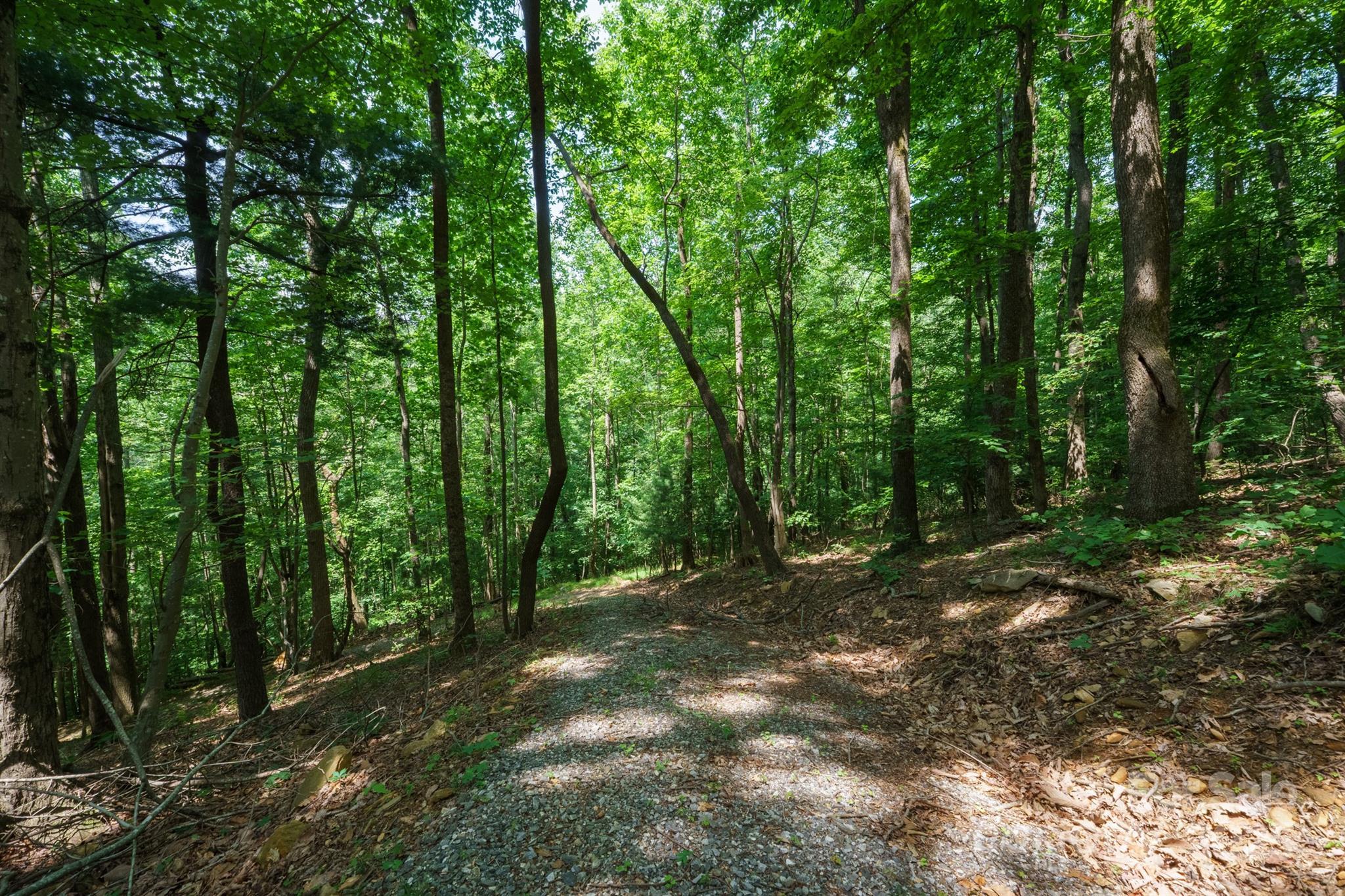 Image 3 Image 3
